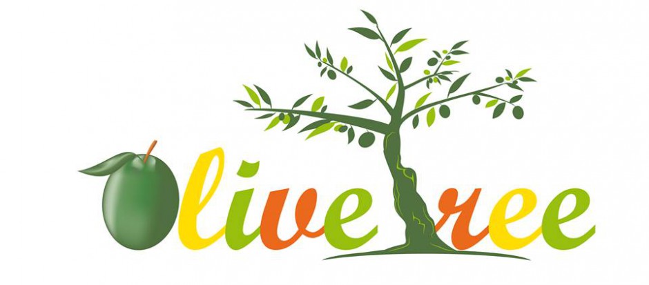 olive tree hostel in bari puglia apulia